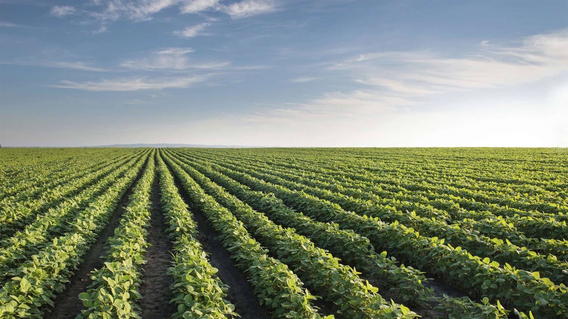 Tristar Holding Tristar Holding